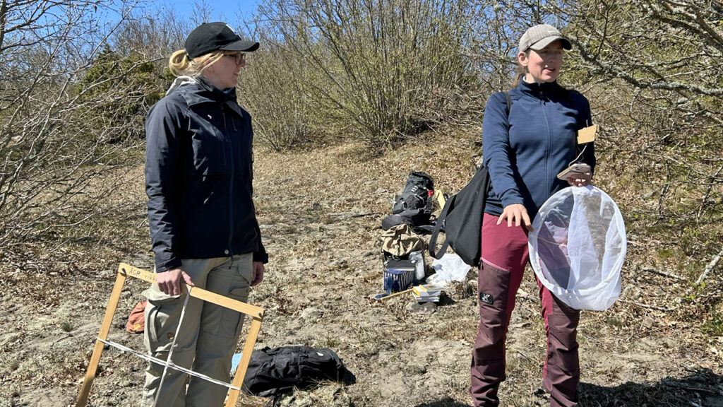Medverkande diskuterar inventeringsmetoder utrustade med håv och träram för kartering av vegetation.