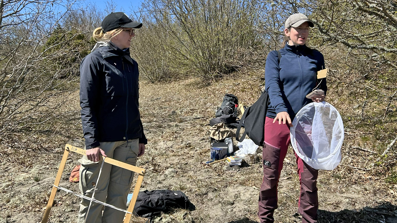 Kalibreringsträff. Medverkande diskuterar inventeringsmetoder utrustade med håv och träram för kartering av vegetation.